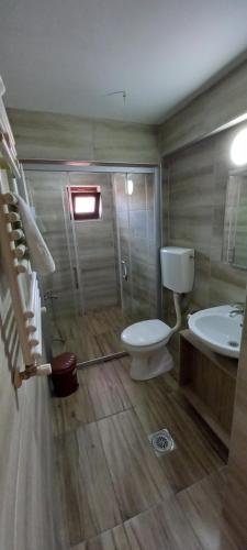 a bathroom with a toilet and a sink at Villa La Kola Krusevo in Kruševo