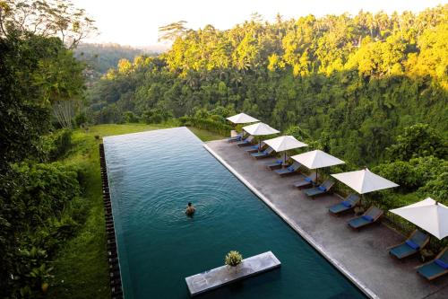 an overhead view of a pool with a person in the water at Alila Ubud in Ubud