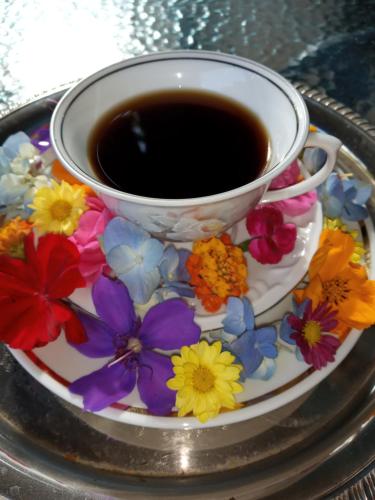 een kopje koffie op een bord met bloemen bij La Petite France in Nova Petrópolis