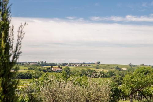 a view of a field with trees in the foreground at Le Mistral in Sommacampagna