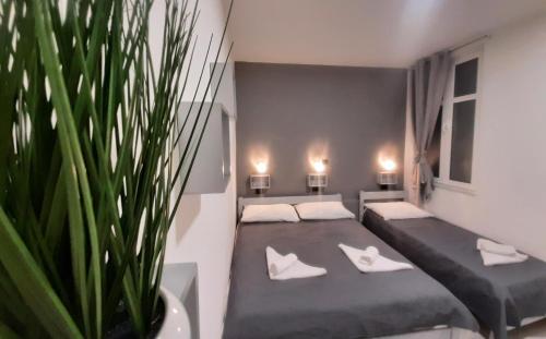 Apartments MiS-for you in city center