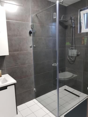 a shower with a glass door in a bathroom at Villa DIAL Lohovo-dvoslap in Bihać