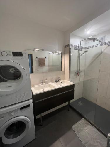 Superbe appartement centre ville في نيم: حمام مع مغسلة وغسالة ملابس