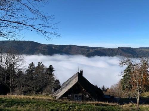 Eine Scheune mitten auf einem Feld mit einem Haufen Wolken in der Unterkunft Ferienwohnung Hintereck in Gütenbach