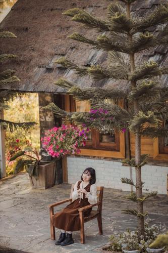 a woman sitting on a bench next to a tree at The Nordic Village - Evergreen Retreat in Mộc Châu