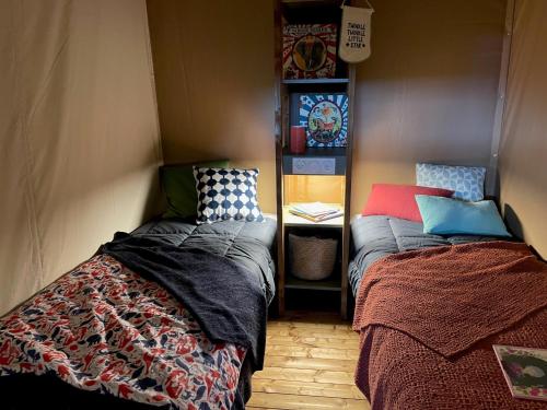 a room with two twin beds and a shelf at DOMAINE des GRANDS PINS in Tamniès