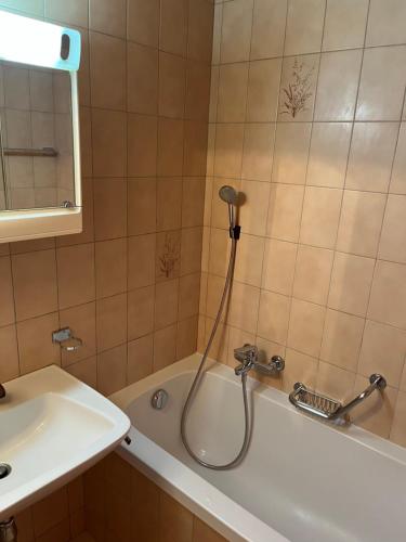 een badkamer met een douche, een wastafel en een bad bij Heida, studio ensoleillé au village avec magnifique vue sur la Dent-Blanche in Evolène
