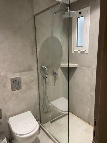 a bathroom with a glass shower with a toilet at Saltriver rooms in Almiropótamos