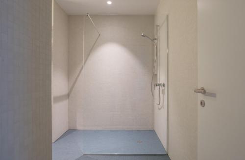 bagno con doccia e cabina doccia di HITrental Marktplatz Apartments a Basilea