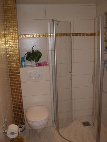 a bathroom with a toilet and a glass shower at Ferienhaus Lefering Stiftung in Otterndorf