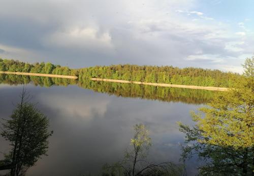 a view of a lake with trees in the background at Apartament Wschód Słońca Olecko in Olecko