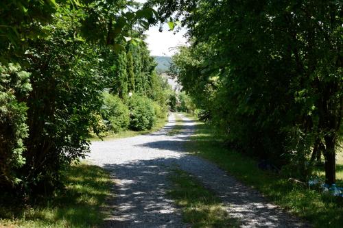 a dirt road with trees on both sides at Pensiunea Casa Romantic in Sovata