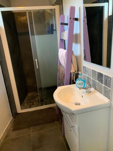 une salle de bain avec un lavabo et une douche dans l'établissement Maison des Roses, à Saint-Savinien