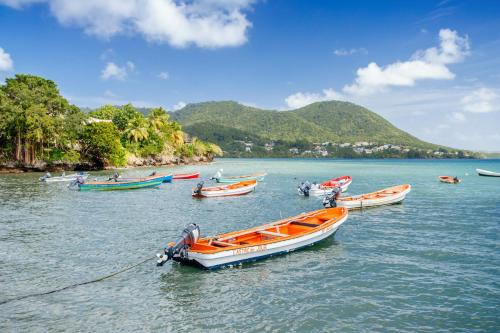 a group of boats tied to a rope in the water at Village Pierre & Vacances Sainte Luce in Sainte-Luce