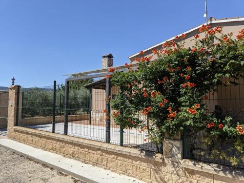 uma cerca com flores ao lado de um edifício em Casa Mequinenza em Mequinenza