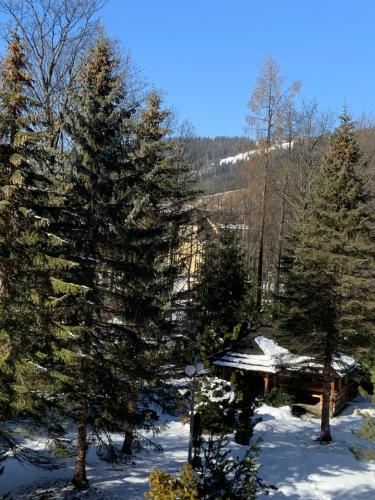 Tatil köyü yakınında doğal manzara