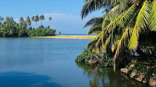 a view of a body of water with palm trees at Gypsy Garden Guesthouse & Homestay in Kosgoda