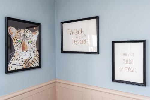 three framed pictures of a leopard on a blue wall at The Laurel Cottage in Doncaster