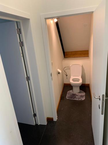 Habitación con baño pequeño con aseo. en Rap 'n Holiday Home, en Sint-Denijs-Westrem
