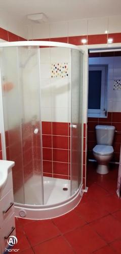 a bathroom with a shower and a toilet at Penzion Svitavy in Svitavy