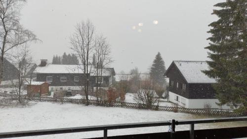 Dat-Harzchen-mit-Garage-und-WLAN v zimě