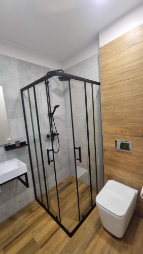 W łazience znajduje się prysznic, toaleta i umywalka. w obiekcie Via Hotel Polkowice w mieście Polkowice
