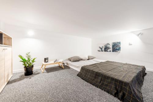 羅茲的住宿－CITYSTAY Narutowicza Lodz Apartment，一间白色的卧室,配有床和盆栽植物