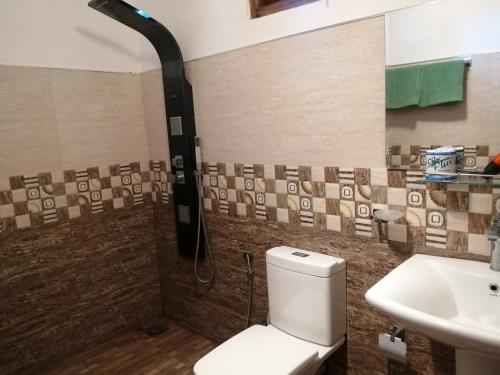 a bathroom with a shower and a toilet and a sink at Solitary Resort in Ella