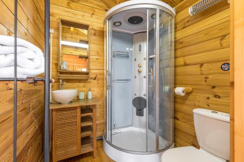 y baño con ducha y aseo. en Maison Saint Paul en La Colle-sur-Loup