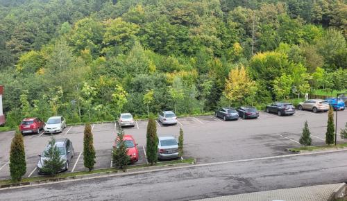 a bunch of cars parked in a parking lot at Hotel TTS**** Spa&Wellness Covasna in Covasna