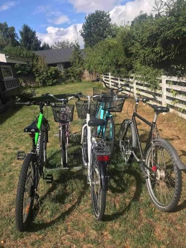 three bikes parked in a field next to a fence at En perle af et sommerhus tæt på både strand og by in Hornbæk