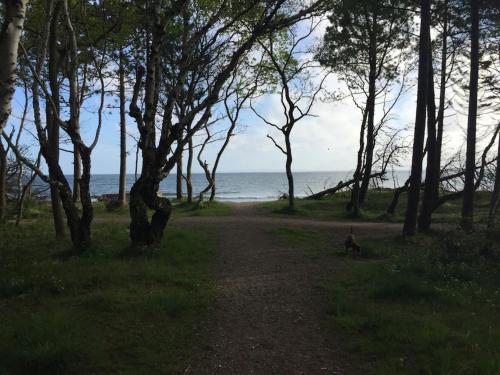a dirt path with trees and the ocean in the background at En perle af et sommerhus tæt på både strand og by in Hornbæk