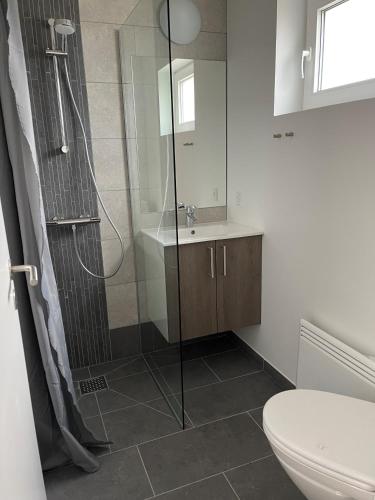 a bathroom with a shower and a toilet and a sink at Esbjerg Camping in Esbjerg
