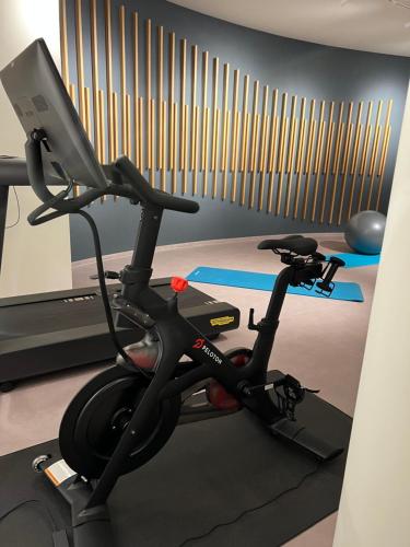 a gym with a treadmill and a laptop on top at Domizil Tübingen in Tübingen