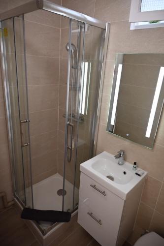 une salle de bain avec douche et lavabo dans l'établissement Cosy Studio, à Ivry-sur-Seine