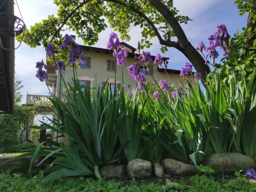 un giardino di iris di fronte a una casa di Tetto alle Rondini a Cuneo
