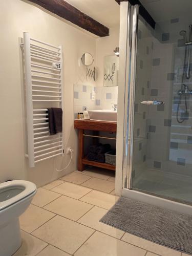 une salle de bain avec une douche, des toilettes et un lavabo dans l'établissement Bed & Breakfast Elisabeth, à Saint-Matré