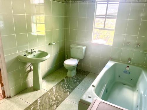a bathroom with a sink and a toilet and a tub at City View Accommodations in Roseau