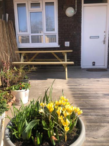 a bench in front of a house with yellow flowers at Super location 2, 1min metro 10 min from Camden in London