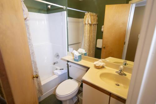 La salle de bains est pourvue de toilettes, d'un lavabo et d'un miroir. dans l'établissement 1Br Ski-in, Ski-out With King Bed- Okemo Mtn Lodge condo, à Ludlow