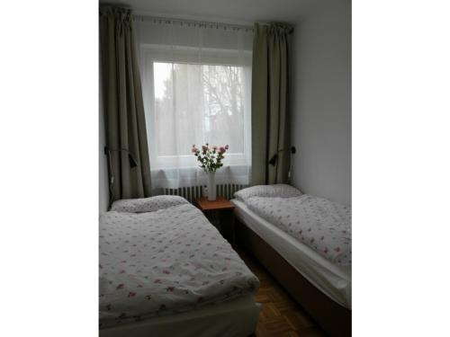 - une chambre avec 2 lits et une fenêtre fleurie dans l'établissement Henning, à Bad Harzburg