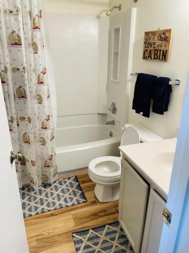 a bathroom with a toilet and a tub and a sink at Sugar Mountain Mile High Cozy Condo! in Sugar Mountain