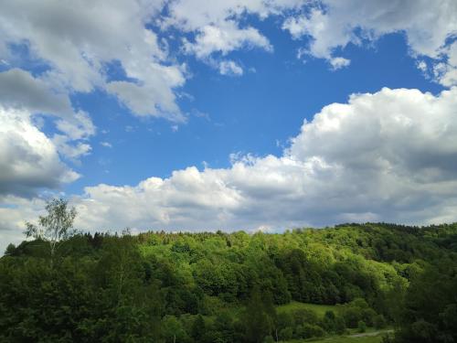 a green hill with trees and a cloudy sky at Antkowe Wzgórze in Polańczyk