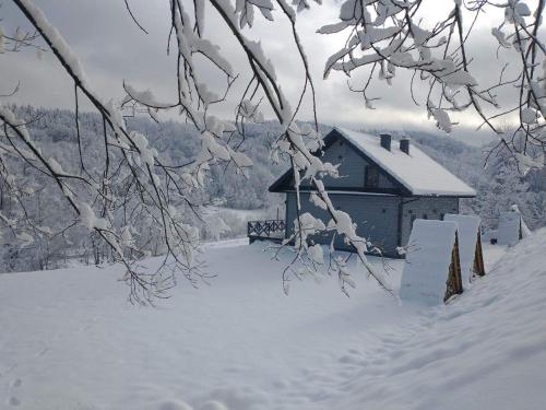 a house covered in snow next to a snow covered yard at Antkowe Wzgórze in Polańczyk