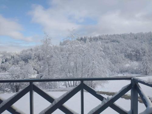 a view of a snow covered mountain with trees at Antkowe Wzgórze in Polańczyk