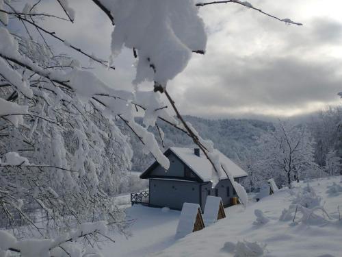 a house covered in snow next to a tree at Antkowe Wzgórze in Polańczyk