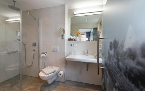 ein Bad mit einer Dusche, einem WC und einem Waschbecken in der Unterkunft Landhotel im Klostereck Strubel-Roos in Flonheim