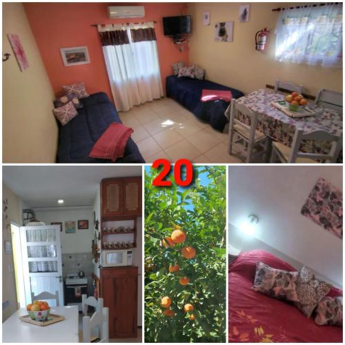 Cabañas de itacu – Photos 4