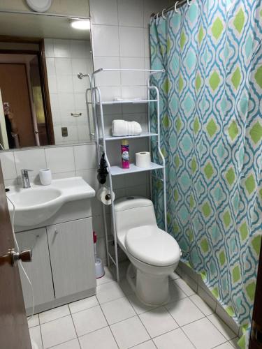 W łazience znajduje się toaleta, umywalka i prysznic. w obiekcie DEPARTAMENTO 2 EN PLENO CENTRO DE PUERTO MONTT w mieście Puerto Montt
