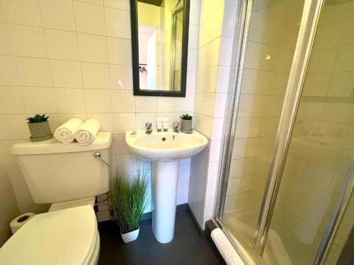 a bathroom with a toilet and a sink and a shower at LuXe Apartments Kemptown in Brighton & Hove